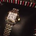 Cartier panthere