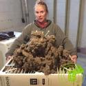 vents Cleaning