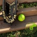 Softball Glove