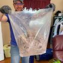 DUCT CLEANING SERVICES